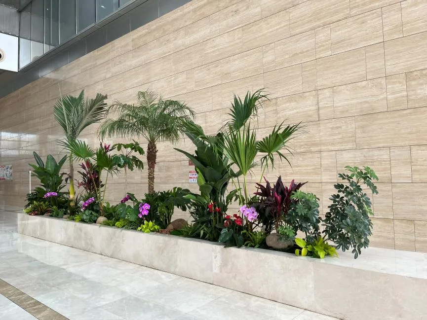 宁波镇海绿植租摆哪家好